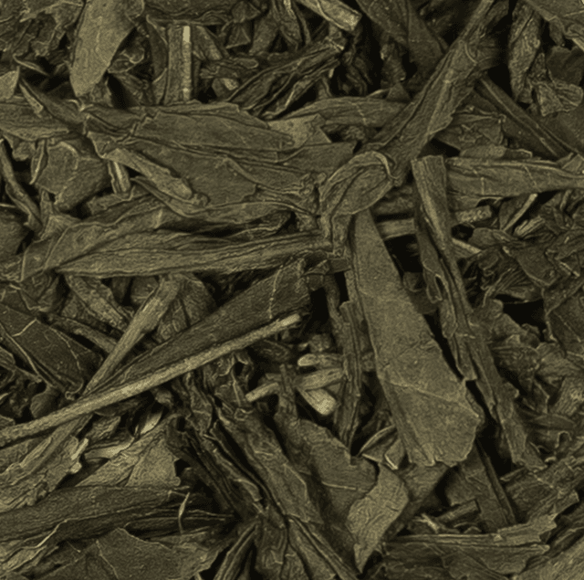 Sencha Green Tea